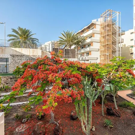 Pulpo Amarillo Playa del Ingles (Gran Canaria)
